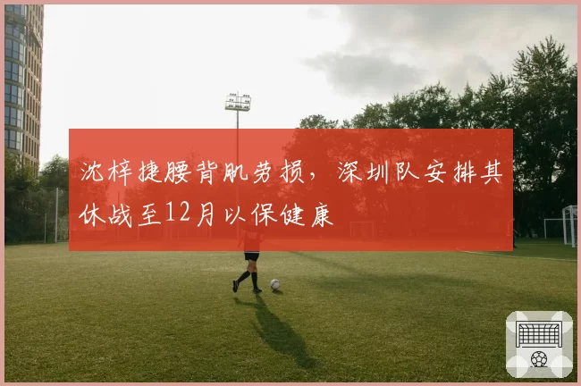 沈梓捷腰背肌劳损，深圳队安排其休战至12月以保健康