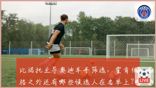 比诺托主导奥迪车手筛选，霍肯伯格之外还有哪些候选人在名单上？
