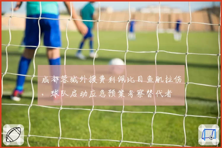 成都蓉城外援费利佩比目鱼肌拉伤,球队启动应急预案考察替代者