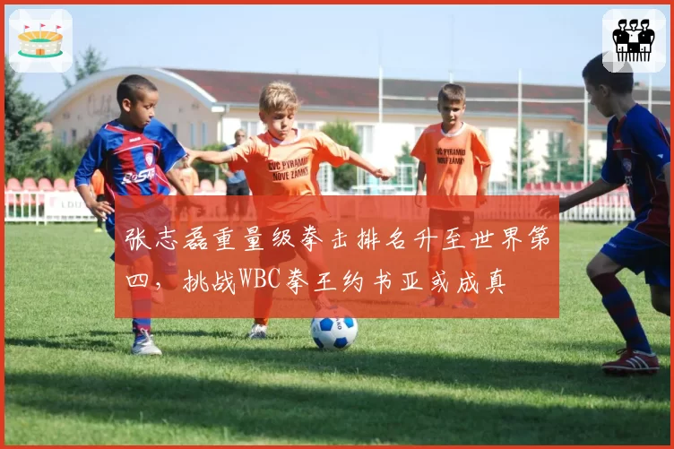 张志磊重量级拳击排名升至世界第四，挑战WBC拳王约书亚或成真