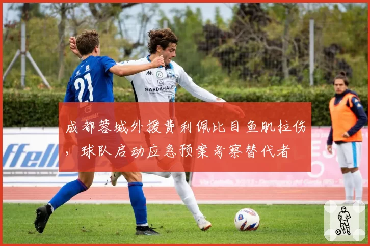 成都蓉城外援费利佩比目鱼肌拉伤,球队启动应急预案考察替代者