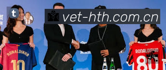 华体会安全运营支持